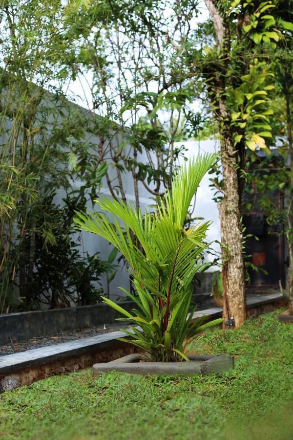 Triple Edge Villa Unawatuna Ngoại thất bức ảnh